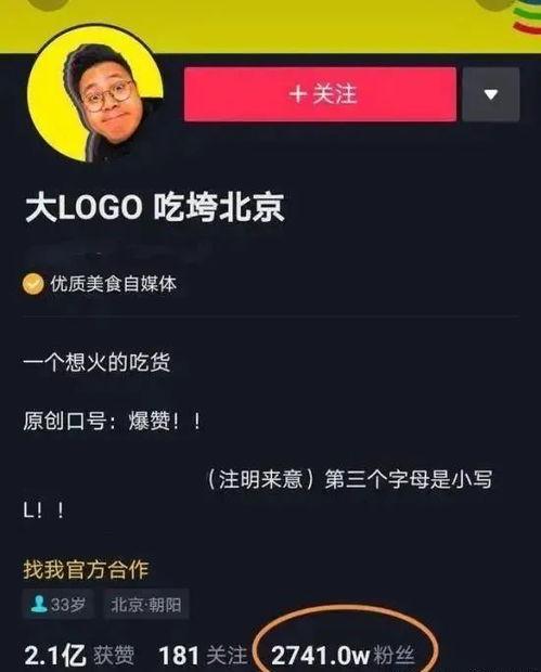 网红大logo,潮流风向标背后的故事