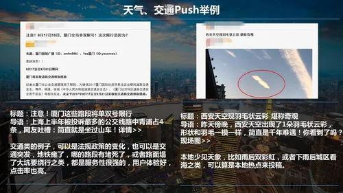 有料网官方网站 爆料还是曝料,爆料与曝料背后的真相解析
